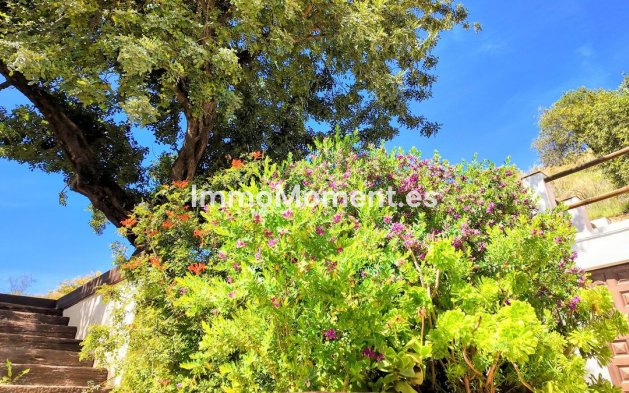 Reventa - Casa de campo - Interior  - Almogía