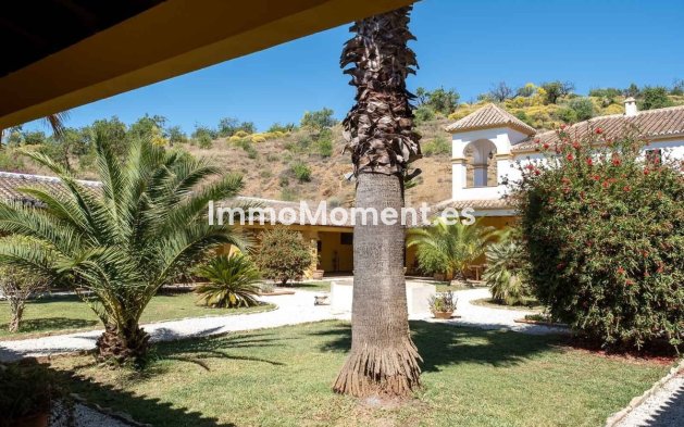 Reventa - Casa de campo - Interior  - Almogía