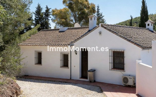 Reventa - Casa de campo - Interior  - Almogía