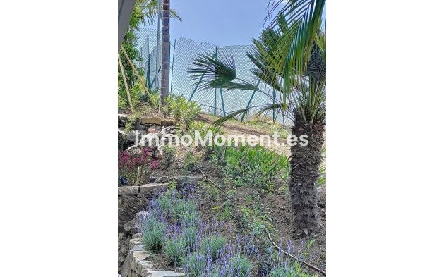 Revente - Villa - Marbella - Nueva Andalucía