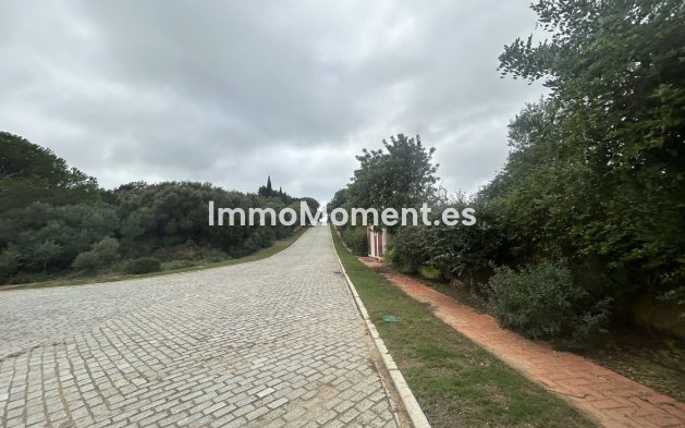 Wiederverkauf - Land - Sotogrande - Sotogrande Alto