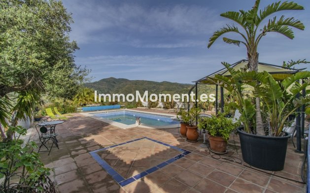 Reventa - Villa - Interior  - Monda