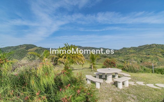 Reventa - Villa - Interior  - Monda