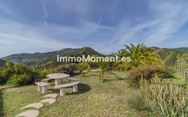 Reventa - Villa - Interior  - Monda