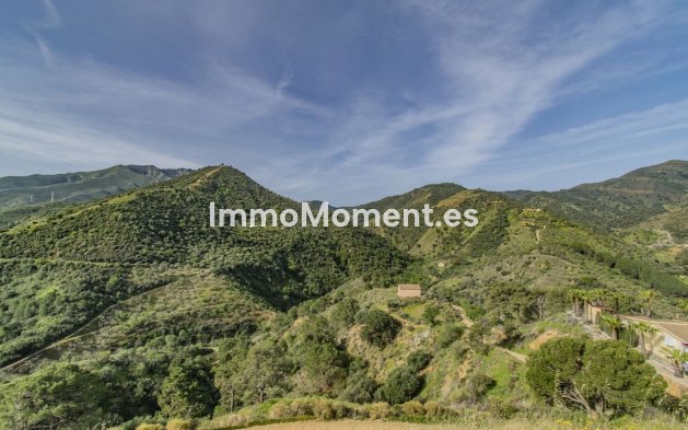 Reventa - Villa - Interior  - Monda