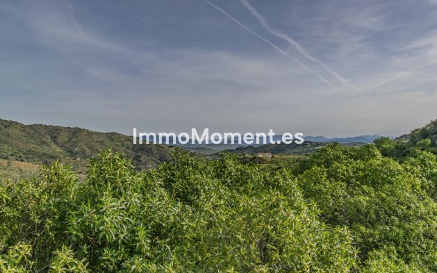 Reventa - Villa - Interior  - Monda