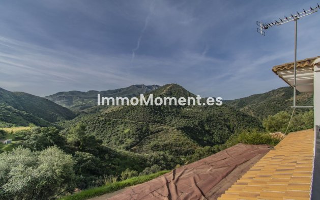 Reventa - Villa - Interior  - Monda