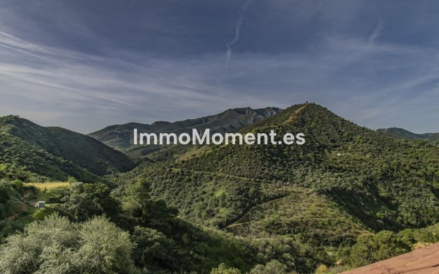 Reventa - Villa - Interior  - Monda