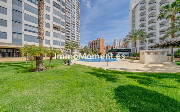 Wiederverkauf - Wohnung - Benidorm - Benidorm Centro