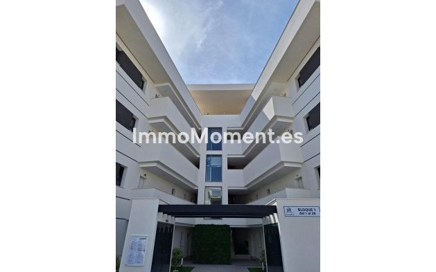 Wiederverkauf - Wohnung - San Miguel de Salinas - San Miguel de Salinas Centro