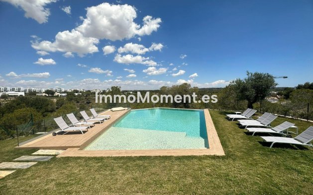 Wiederverkauf - Wohnung - Orihuela - Orihuela Centro