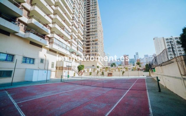 Reventa - Apartamento - Benidorm - Benidorm Centro