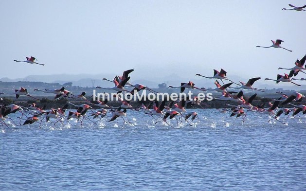 Wiederverkauf - Wohnung - Santa Pola - Gran Alacant