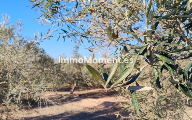 Resale - Villa - Elche - Las Bayas