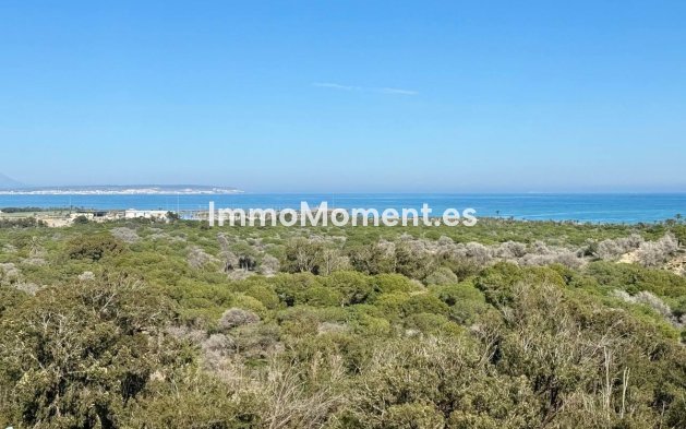 Resale - Apartment - Guardamar del Segura - Guardamar del Segura Centro