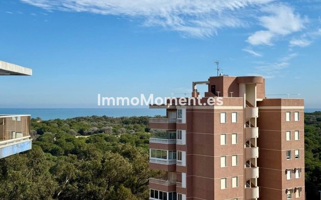 Resale - Apartment - Guardamar del Segura - Guardamar del Segura Centro