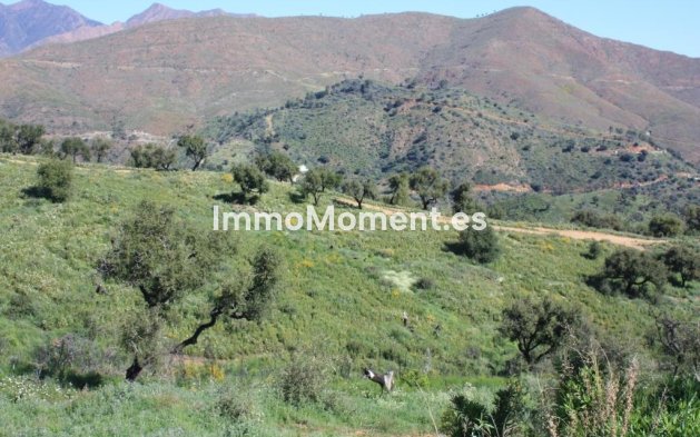 Neubau - Land - Marbella - La Mairena