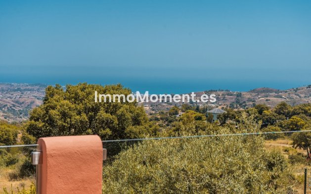 Wiederverkauf - Wohnung - Marbella - La Mairena