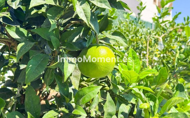 Wiederverkauf - Villa - San Fulgencio - San Fulgencio Centro