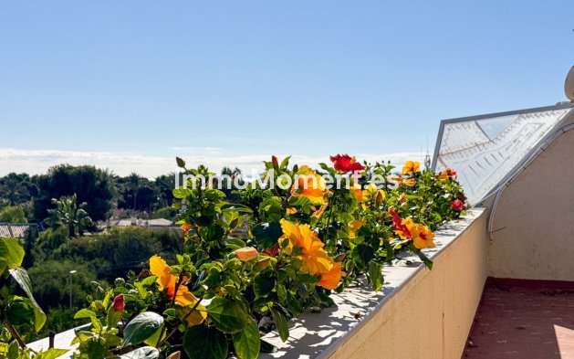 Wiederverkauf - Wohnung - Orihuela - Punta Prima