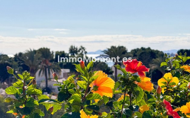 Wiederverkauf - Wohnung - Orihuela - Punta Prima