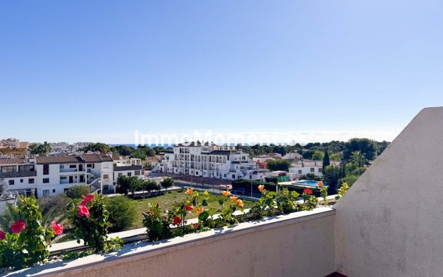 Wiederverkauf - Wohnung - Orihuela - Punta Prima