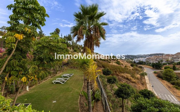 Resale - Apartment - Marbella - Nueva Andalucía