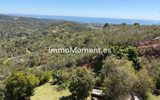 Revente - Maison de campagne - Estepona  - Estepona Centro