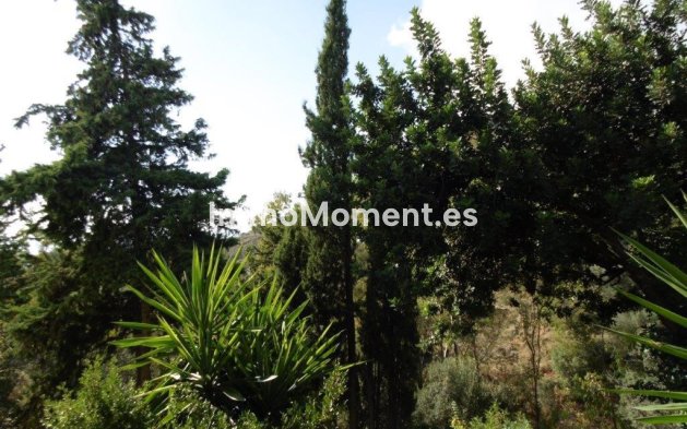 Bestaande woning - Villa - Mijas - Mijas Centro