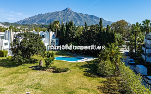Revente - Appartement - Marbella - Nueva Andalucía