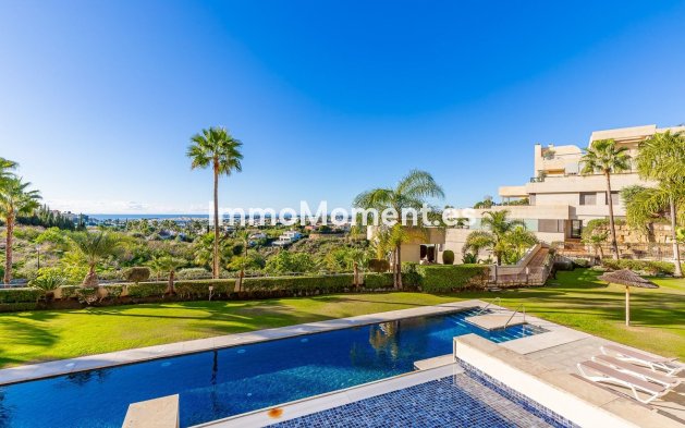 Wiederverkauf - Wohnung - Marbella - Nueva Andalucía