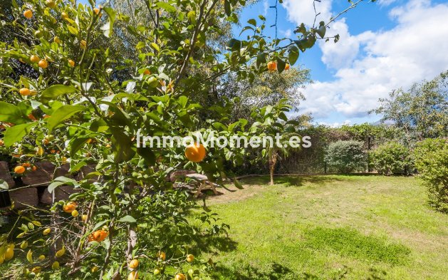 Revente - Appartement - Benahavís - Benahavís Centro