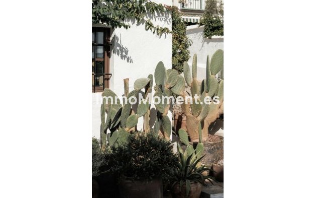 Revente - Maison mitoyenne - Marbella - Nueva Andalucía