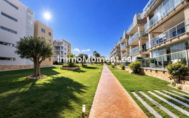 Reventa - Apartamento - Orihuela - Villamartin