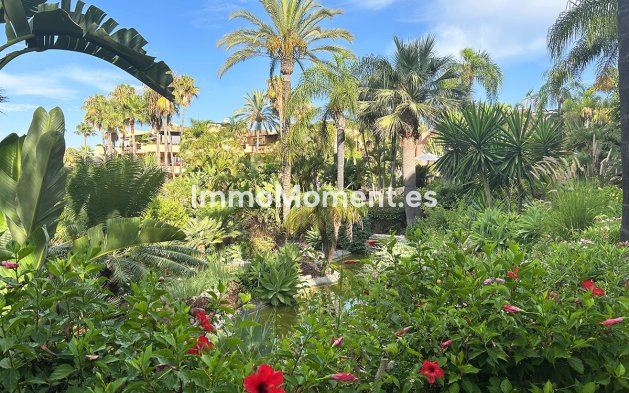 Revente - Appartement - Marbella - The Golden Mile