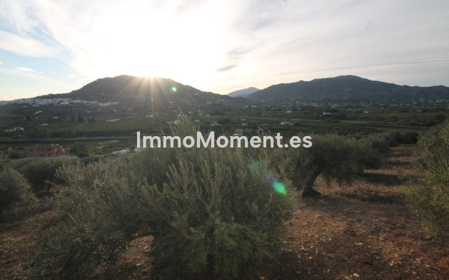 Wiederverkauf - Land -   Inländisch - Alora