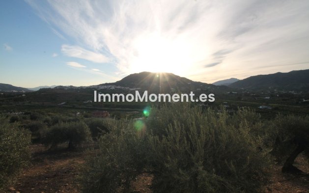 Wiederverkauf - Land -   Inländisch - Alora