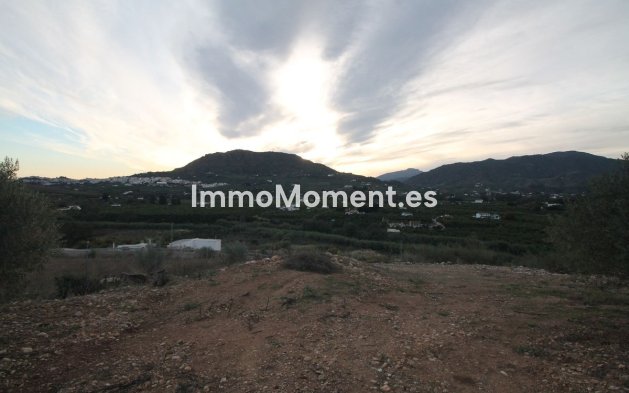 Wiederverkauf - Land -   Inländisch - Alora