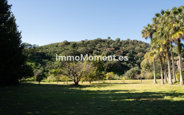 Wiederverkauf - Landhaus - Estepona  - Estepona Centro
