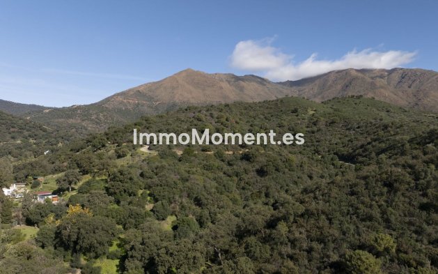 Wiederverkauf - Landhaus - Estepona  - Estepona Centro