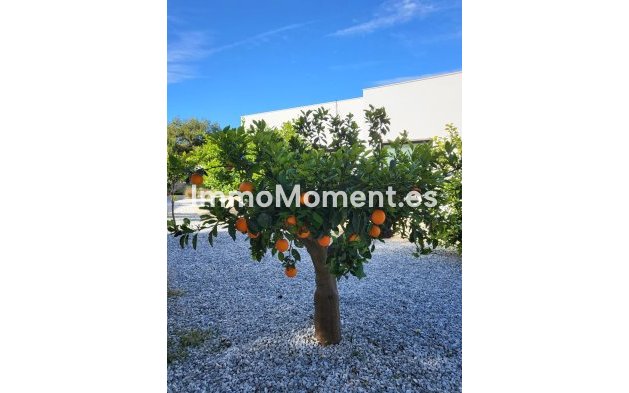 Revente - Villa - Orihuela - Orihuela Centro