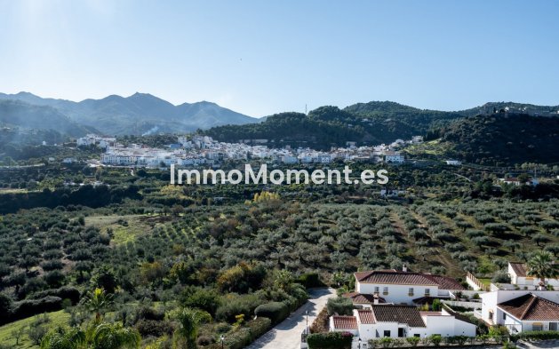 Revente - Maison mitoyenne - Intérieur                       - Monda