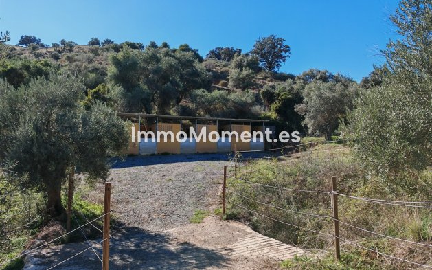 Reventa - Casa de campo - Interior  - Coín