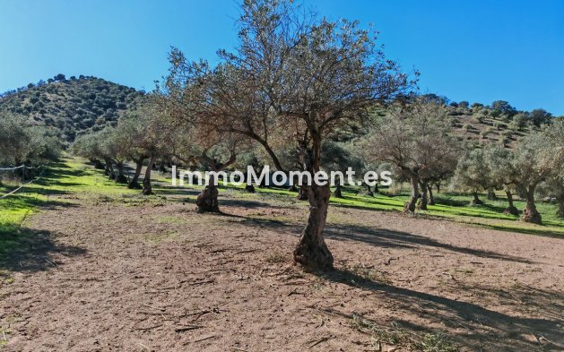Reventa - Casa de campo - Interior  - Coín