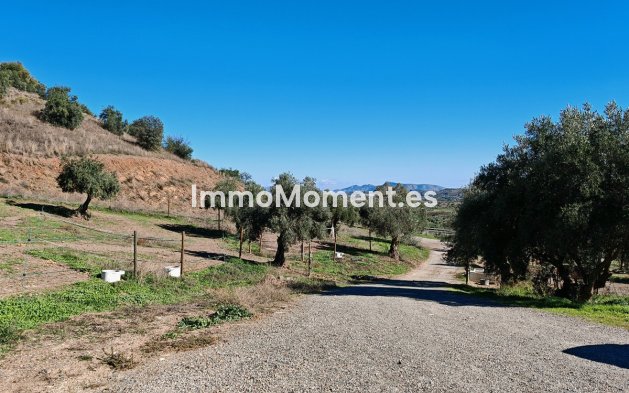 Reventa - Casa de campo - Interior  - Coín