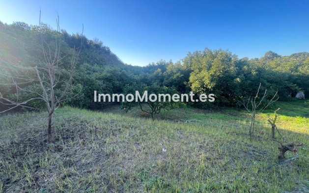 Wiederverkauf - Landhaus - Estepona  - Estepona Centro