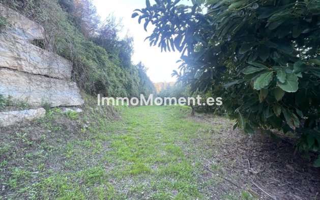 Wiederverkauf - Landhaus - Estepona  - Estepona Centro