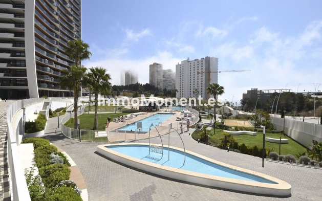 Wiederverkauf - Wohnung - Benidorm - Benidorm Centro