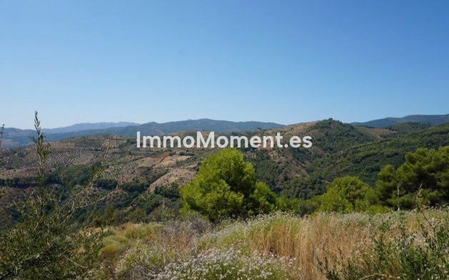 Revente - Maison de campagne - Intérieur                       - Yunquera