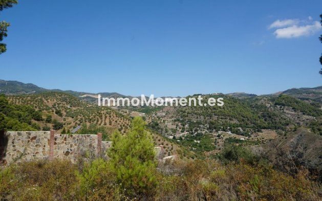 Revente - Maison de campagne - Intérieur                       - Yunquera